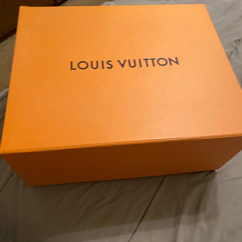 Louis Vuitton Shoe Box